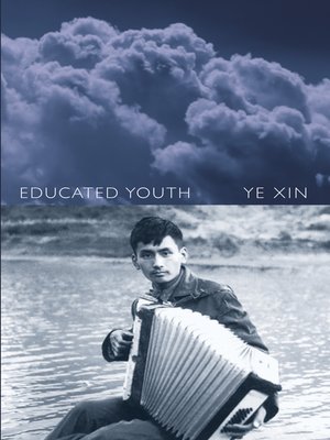 cover image of Educated Youth